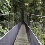 Puentes colgantes en Costa Rica