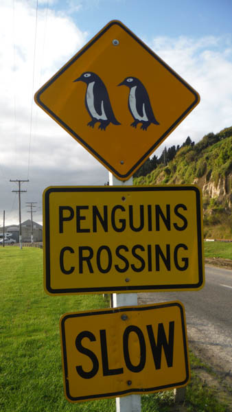 Visitar Nueva Zelanda
