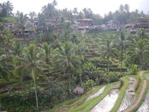Que ver en Bali
