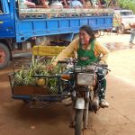 Comer en Camboya