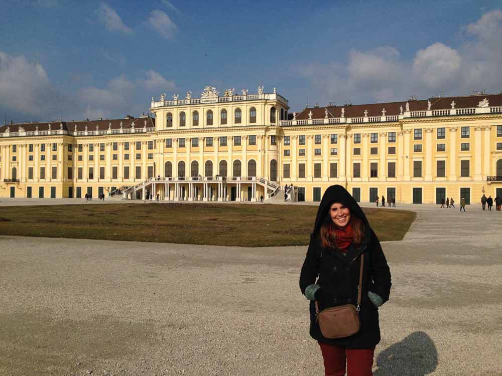 Palacio de Viena
