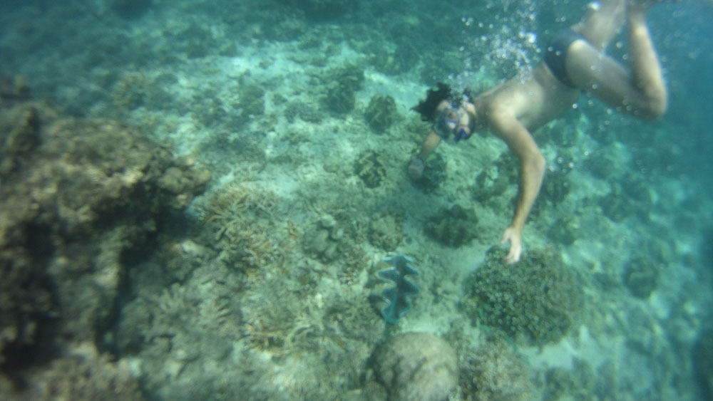 Snorkel en Filipinas