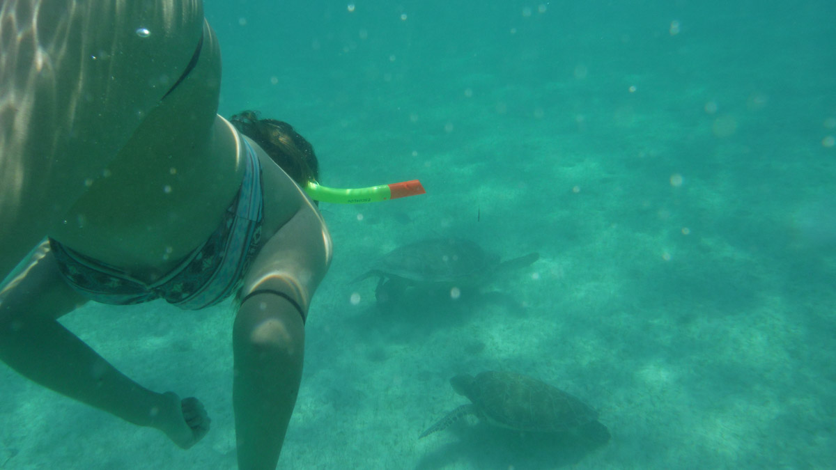 Nadando con tortugas en Akumal