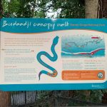 Serpientes en Australia