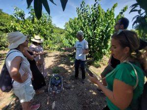 Cultivo frutas tropicales en Salobreña